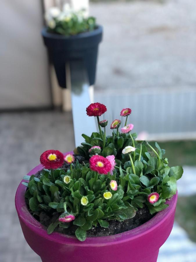 Lovely Villa אורקי מראה חיצוני תמונה